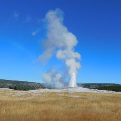 yellowstone national park 1128