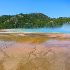yellowstone national park 1129