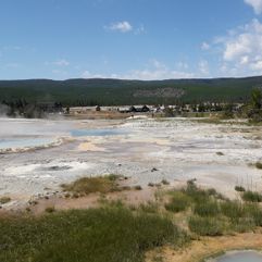 yellowstone5