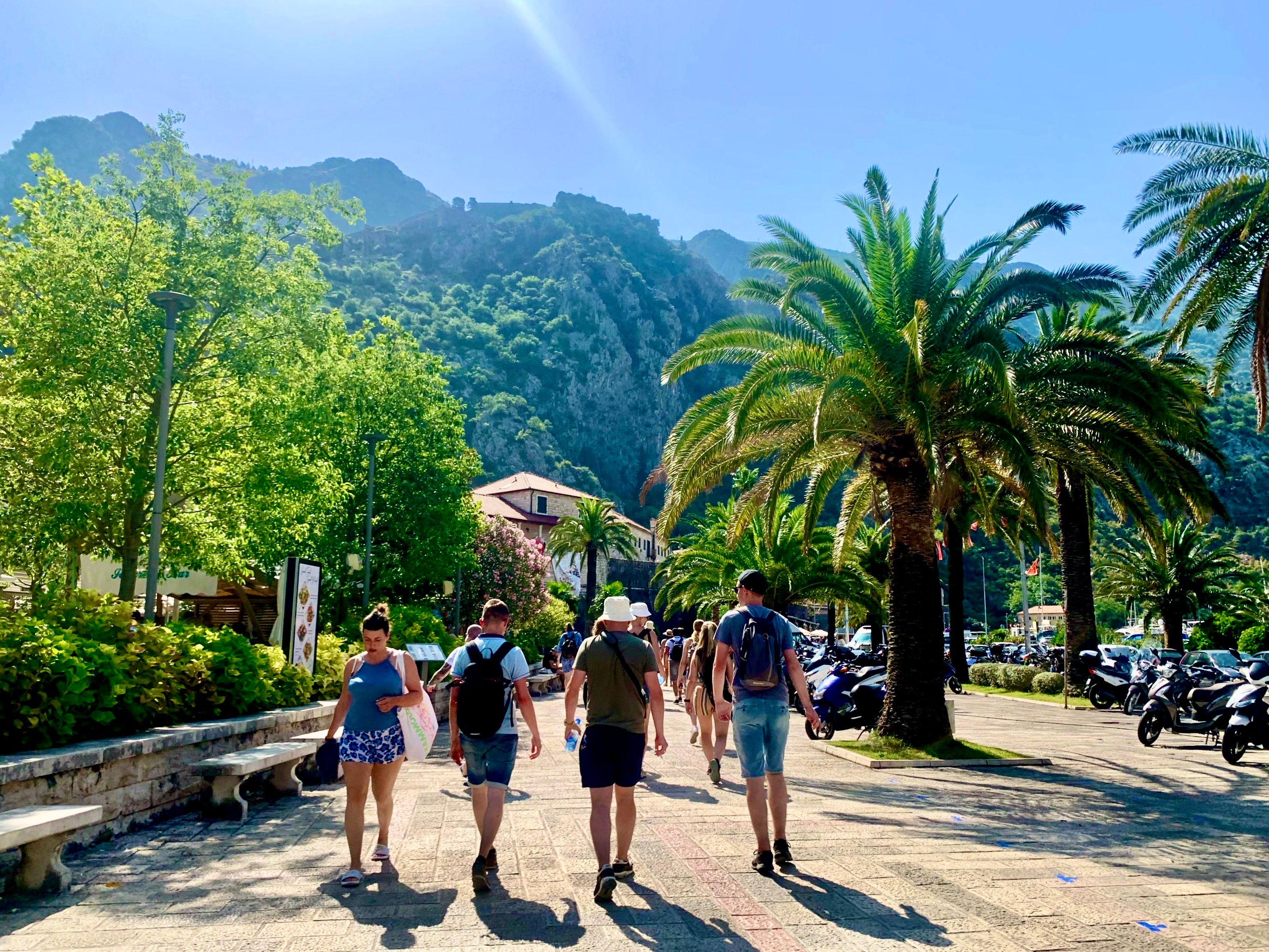 Montenegro rondreis Kotor