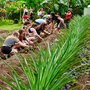 Dit kun je verwachten van een groepsreis Costa Rica!