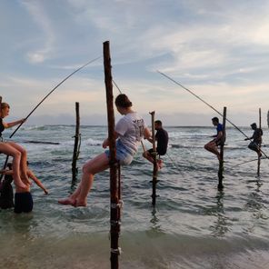Ontdek de magie van Sri Lanka