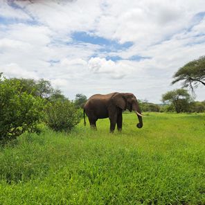 Waarom Tanzania op je bucketlist hoort!