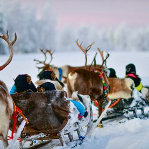 Waarom Finland op je winter-bucketlist moet staan!