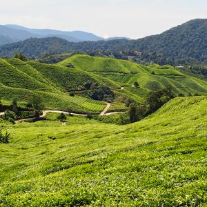 Maleisië