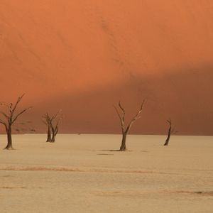 Namibië