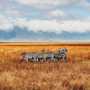 Tanzania & Zanzibar