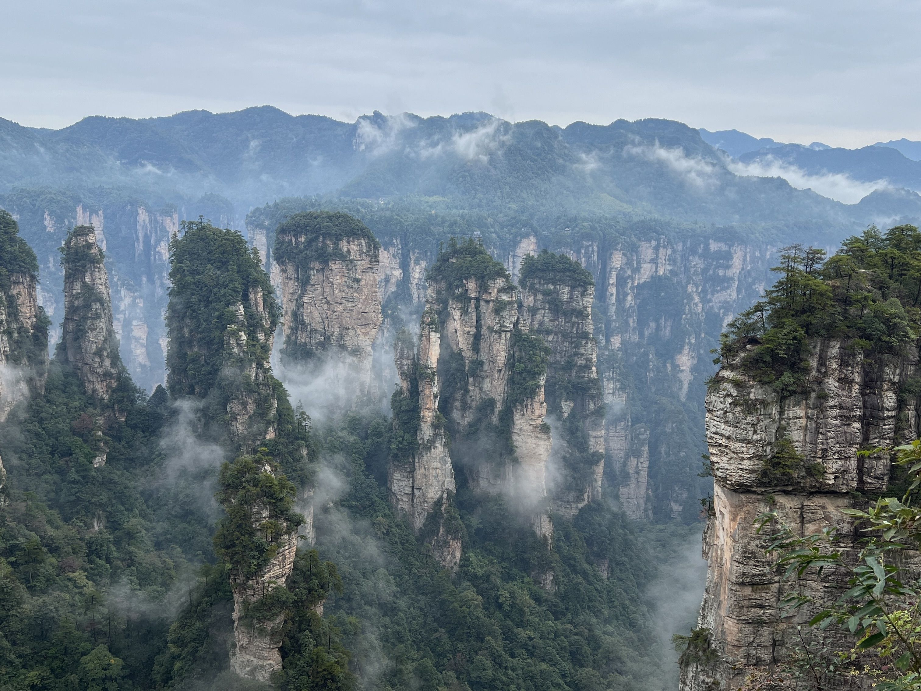 China groepsreis Wulingyuan NP