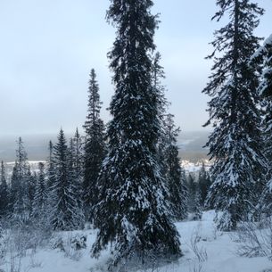 Mexico ontdekken? Reis samen!