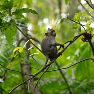 Mexico ontdekken? Reis samen!