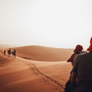 Mexico ontdekken? Reis samen!