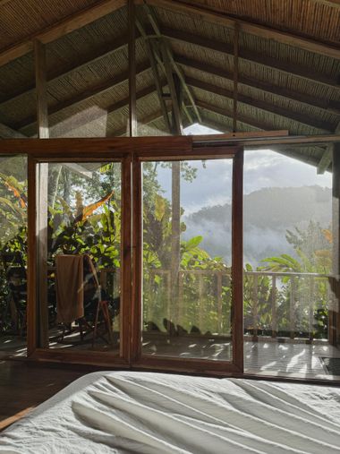 Bewonder de jungle vanuit je kamer