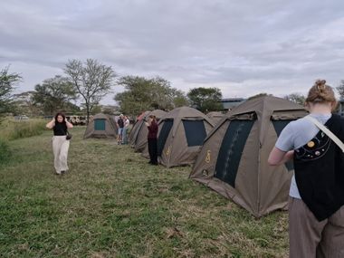 Serengeti kamperen