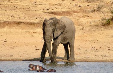 Groepsreizen Zuid-Afrika 18-32 jaar