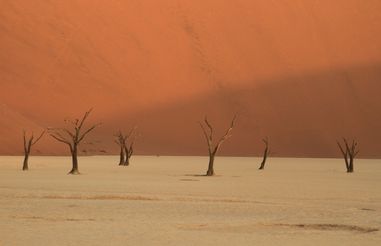 Jongeren groepsreis Namibië