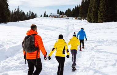 Winteravontuur Alpen