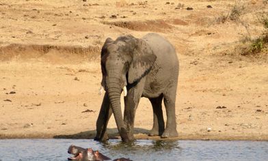 Groepsreizen Zuid-Afrika 18-32 jaar