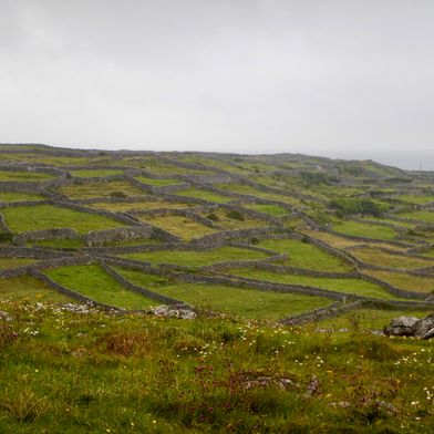 algemeen overig onbekend ierland 201976