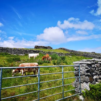 boottocht aran islands ierland 201940