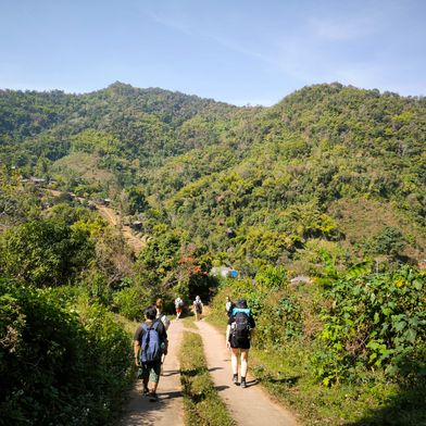 jungle trekking thailand gids feb 2024 9