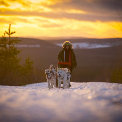 lapland winter 23