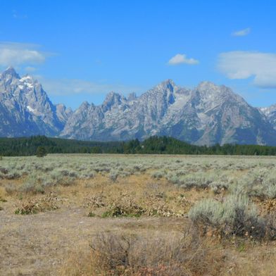 tetons