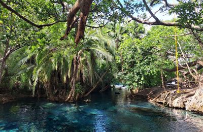 Zwemmen in de Chemka Hot Springs