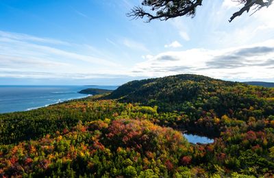 Acadia National Park & de kust van Maine