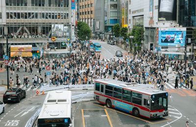 Tokyo: van tempels tot neonlichten