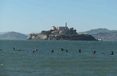 Bezoek aan Alcatraz