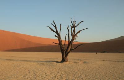 Ontdek magisch Deadvlei