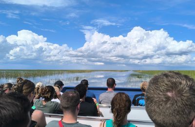 Airboat tour