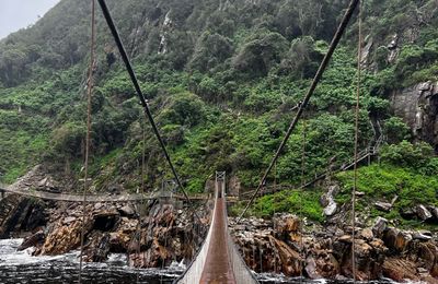 Hangbruggen boven de oceaan