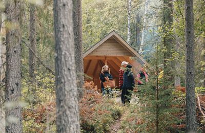 Hiken door de Zweedse wildernis