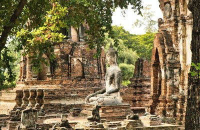 Tussen de tempels van Ayutthaya