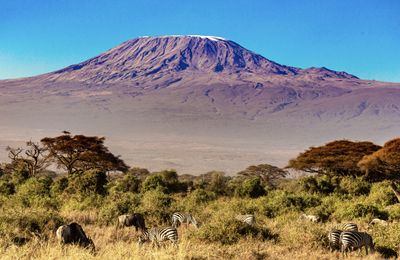 De Kilimanjaro op (een stukje)