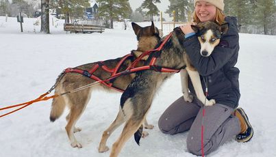 Winter groepsvakantie Zweden