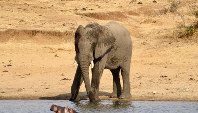 Groepsreizen Zuid-Afrika 18-32 jaar