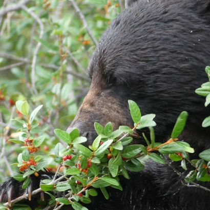 Groepsreizen 28-38 jaar