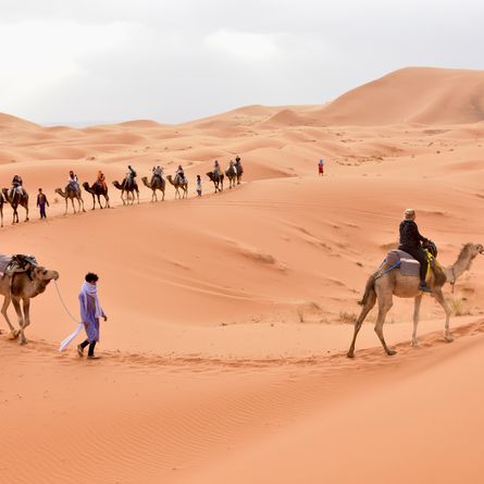 Bezienswaardigheden, kameelrit en bedoeïenenkamp