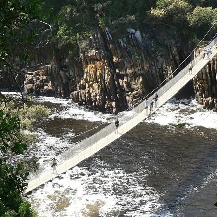 Suspension Bridge Hike in Tsitsikamma NP