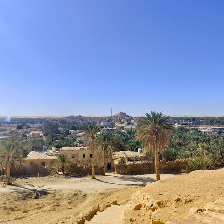 Alexandrië - Al Alamein - Siwa