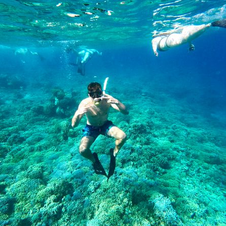 Onderwaterleven ontdekken: snorkelen! Onderwaterleven ontdekken: snorkelen!