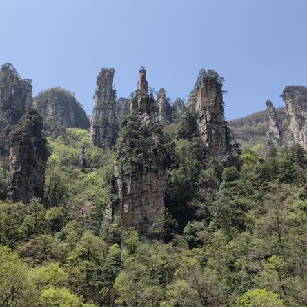 Zhangjiajie National Forest Park dag 2 Zhangjiajie National Forest Park dag 2