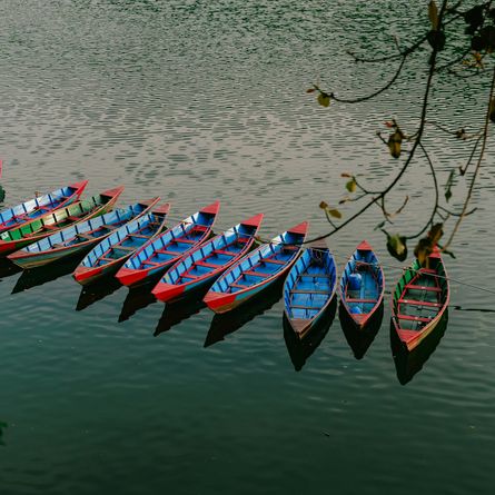 Chitwan - Pokhara