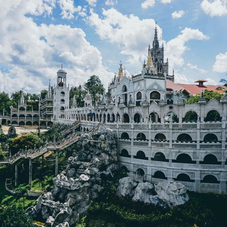 Terugvlucht Terugvlucht