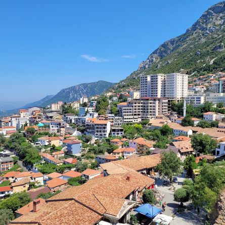 Terugvlucht Terugvlucht