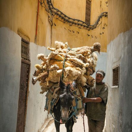 Van het Atlasgebergte naar de Sahara