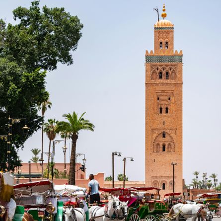 Stadstour Marrakech