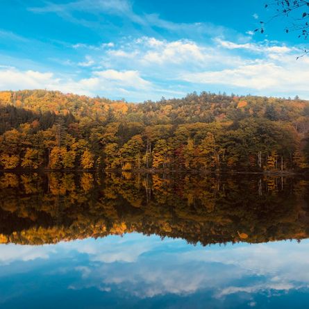 Burlington - Brattleboro Burlington - Brattleboro